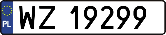 WZ19299