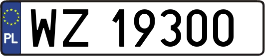 WZ19300