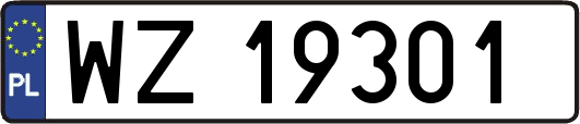 WZ19301
