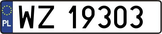 WZ19303