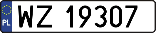 WZ19307
