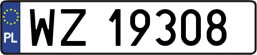 WZ19308