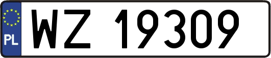 WZ19309