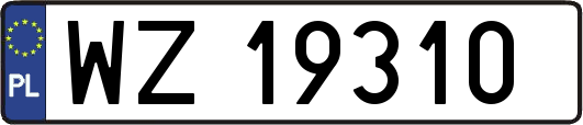 WZ19310