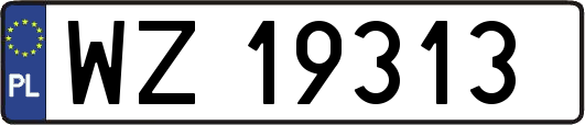 WZ19313