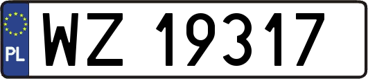 WZ19317