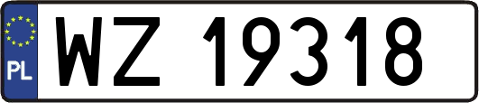 WZ19318