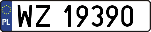 WZ19390