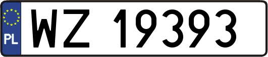WZ19393