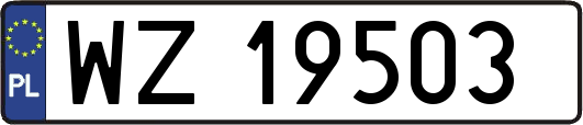 WZ19503