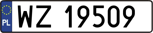 WZ19509
