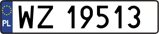 WZ19513