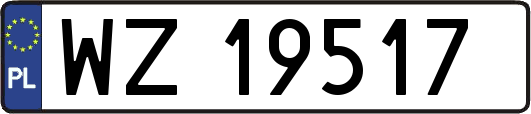 WZ19517