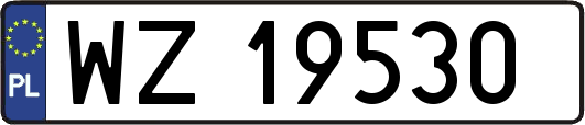 WZ19530