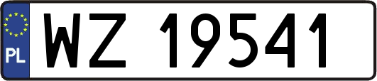 WZ19541
