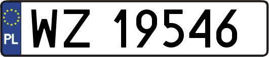WZ19546
