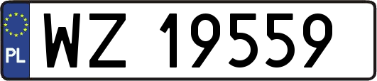 WZ19559