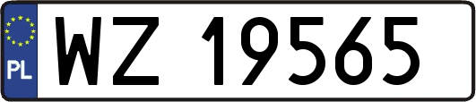 WZ19565