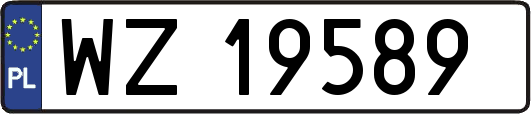 WZ19589