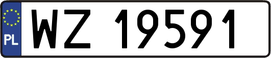 WZ19591