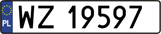 WZ19597