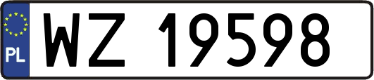 WZ19598