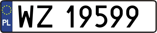 WZ19599
