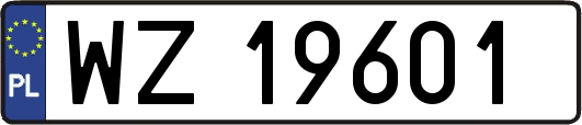 WZ19601