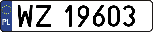 WZ19603