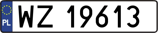 WZ19613