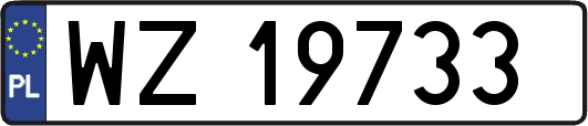 WZ19733