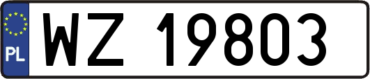 WZ19803