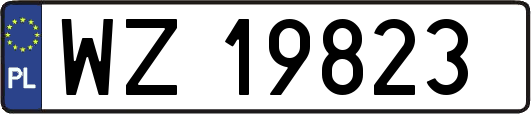 WZ19823