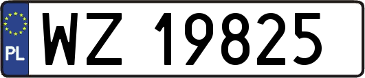 WZ19825