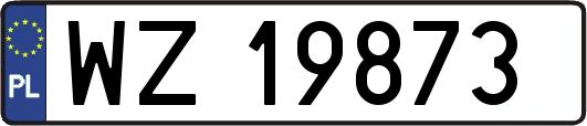 WZ19873