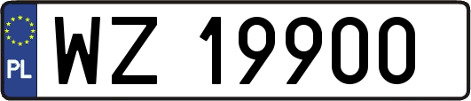 WZ19900