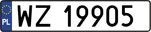 WZ19905
