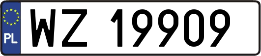 WZ19909