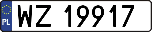 WZ19917