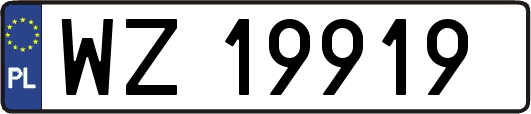 WZ19919