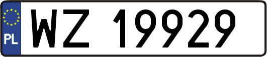 WZ19929