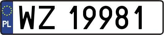 WZ19981