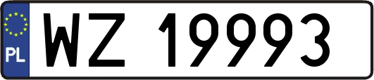 WZ19993