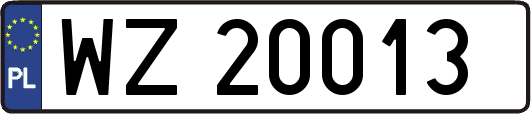 WZ20013