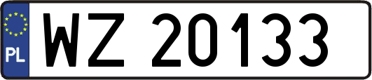 WZ20133