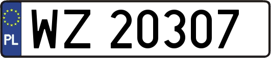 WZ20307