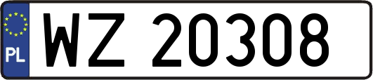 WZ20308