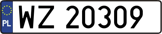 WZ20309