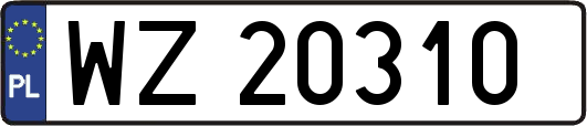 WZ20310