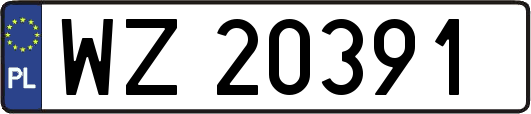 WZ20391
